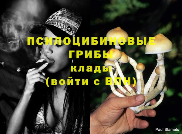 эйфоретик Арсеньев