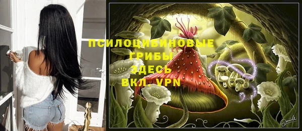 прущий лед Аркадак