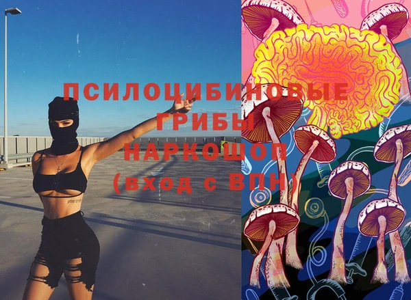 сатива Алексеевка