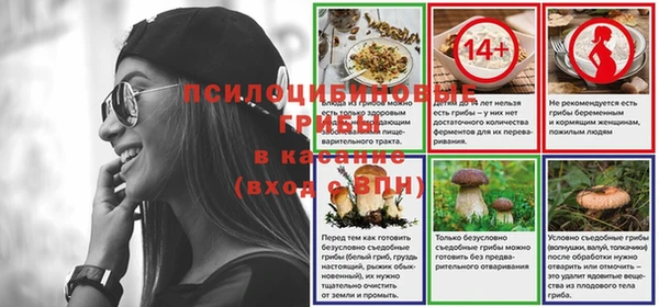 прущий лед Аркадак