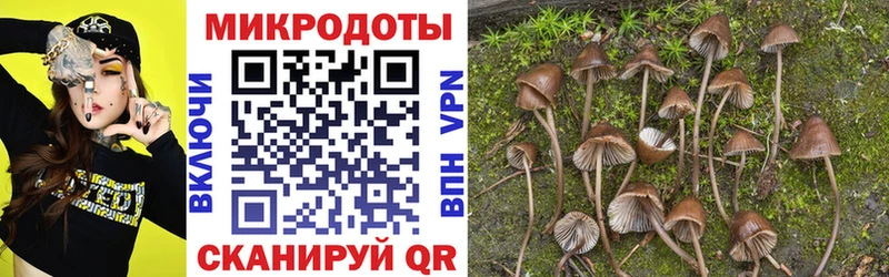 Галлюциногенные грибы мухоморы  даркнет сайт  ссылка на мегу ССЫЛКА  Печоры 